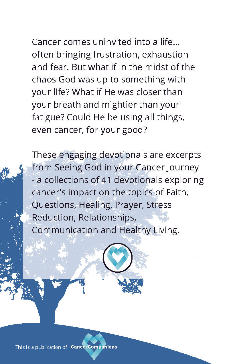 #302 Seeing God Devotional Booklet - Volunteer