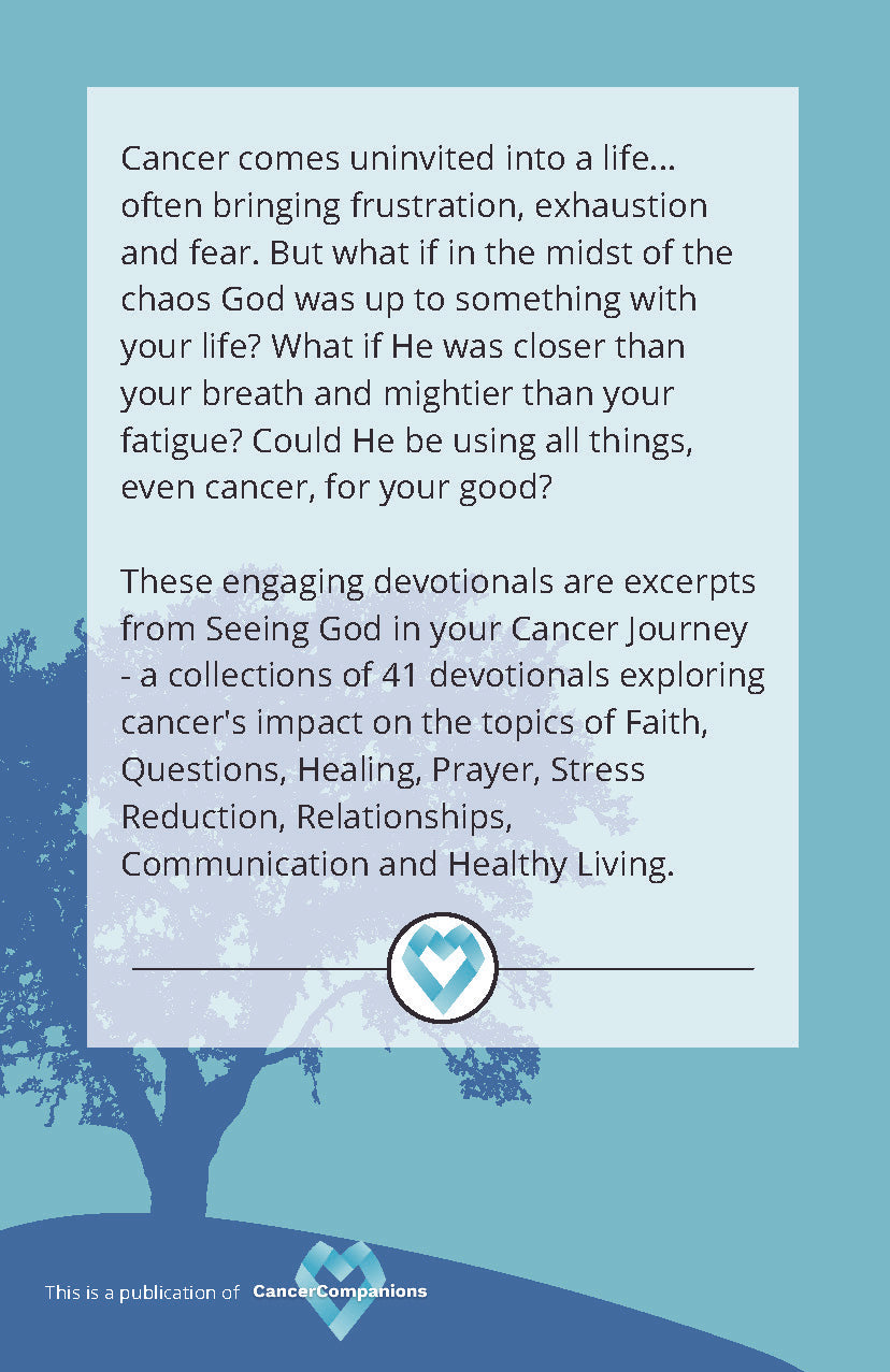 #303 Seeing God Devotional Booklet - Participant