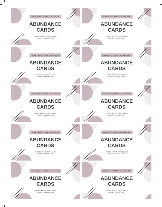 #160 Finding Hope Abundance Card deck of 20 sold in sets of 4